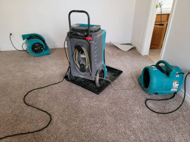 Best Residential water damage restoration  in Walton, KY