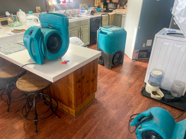 Best Emergency water damage restoration  in Walton, KY