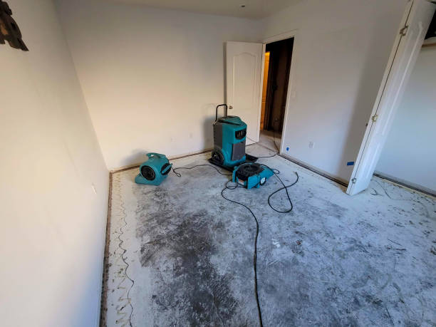 Carpet water damage restoration in KY
