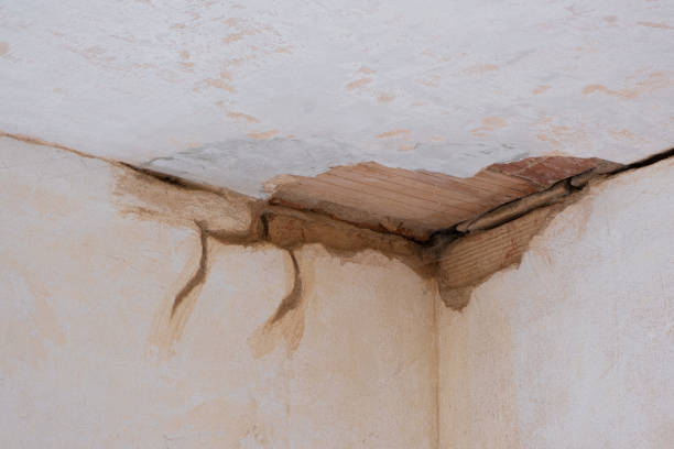 Best Basement water damage restoration  in Walton, KY