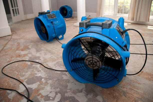 Best Emergency water extraction  in Walton, KY
