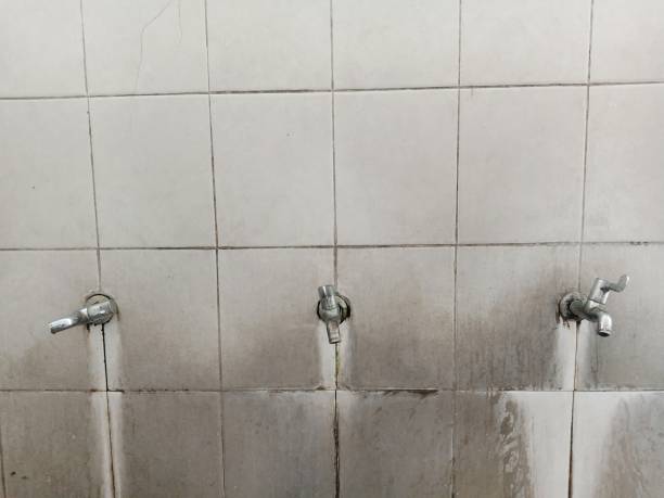 Best Flooded house restoration  in Walton, KY