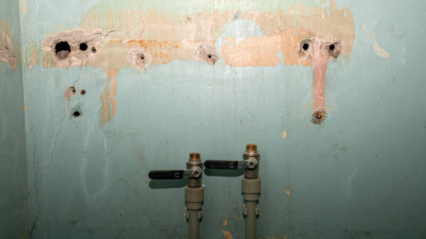  Walton, KY Water damage restoration Pros
