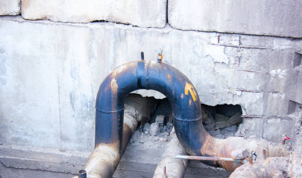 Best Flood restoration services  in Walton, KY