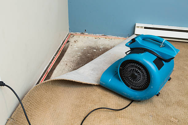 Best Sewage cleanup and water damage restoration  in Walton, KY